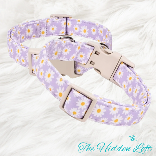Purple Daisy Dog Collar
