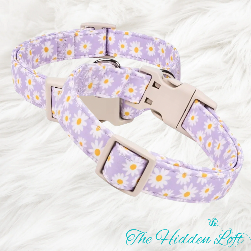 Purple Daisy Dog Collar