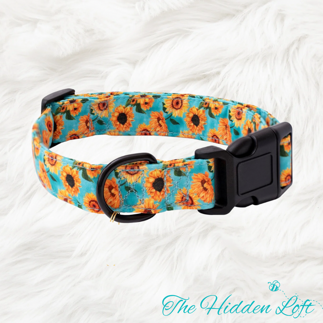 Sunflower Dog Collar