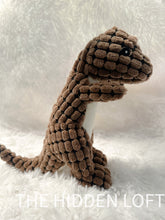 Load image into Gallery viewer, Dinosaur Dog Toy