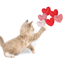 Load image into Gallery viewer, Heart Cat Nip Cat Toy