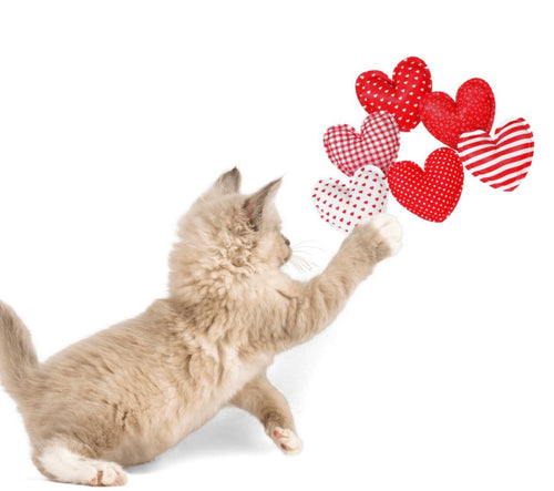 Heart Cat Nip Cat Toy