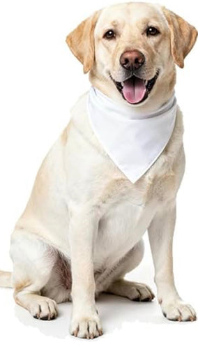 Personalized Collar Slide Bandana