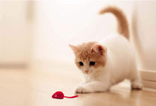 Load image into Gallery viewer, Valentine Mice Cat Toys