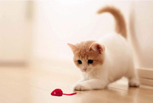 Valentine Mice Cat Toys