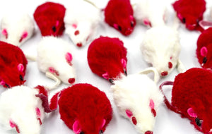 Valentine Mice Cat Toys