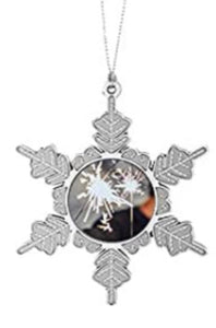 Silver Snowflake Photo Ornament