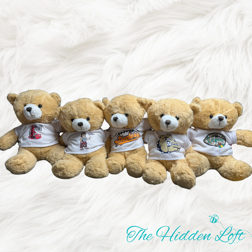 School Spirit Teddy Bear