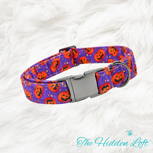 Purple Pumpkin Dog Collar