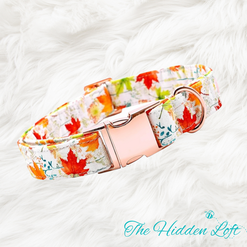 Fall Leaves Dog Collar