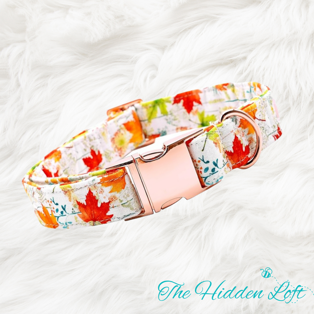 Fall Leaves Dog Collar
