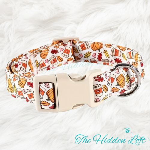 Pumpkin Latte Dog Collar