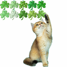 Load image into Gallery viewer, Shamrock Cat Nip Cat Toy Set