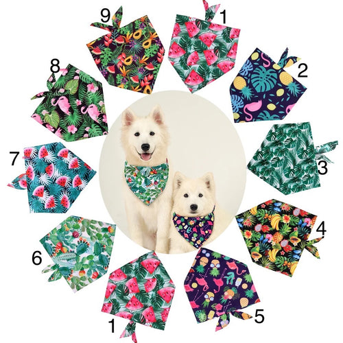 Tropical Dog Bandanas