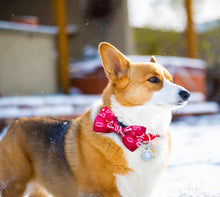 Load image into Gallery viewer, Valentine Bow Tie Collar Slides