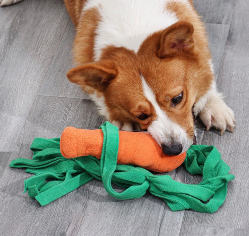 Snuffle Carrot Dog Toy